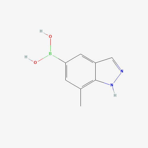 7-Methyl-1H-indazole-5-boronic acid (CAS: 1245816-07-2) - Related Chemical Product