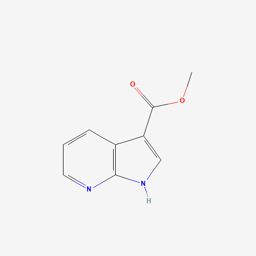 Methyl 1H-pyrrolo[2,3-b]pyridine-3-carboxylate (CAS: 808137-94-2) - Related Chemical Product