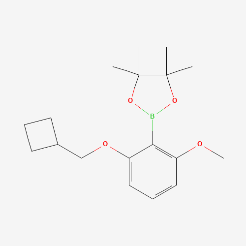 2-Cyclobutylmethoxy-6-methoxyphenylboronic acid pinacol ester (CAS: 1204580-86-8) - Related Chemical Product