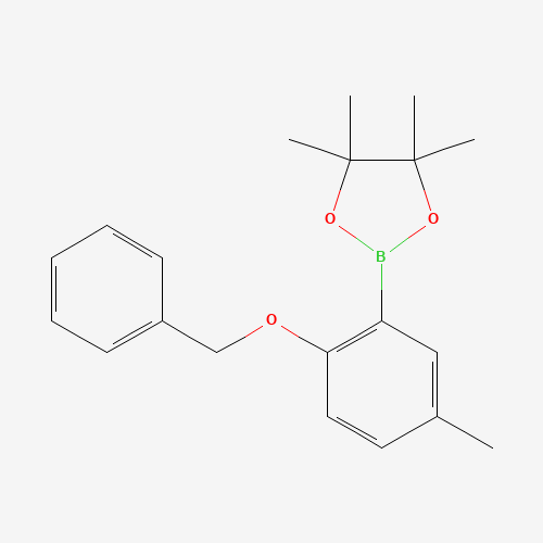 2-Benzyloxy-5-methylphenylboronic acid pinacol ester (CAS: 1204580-85-7) - Chemical Structure and Molecular Formula 