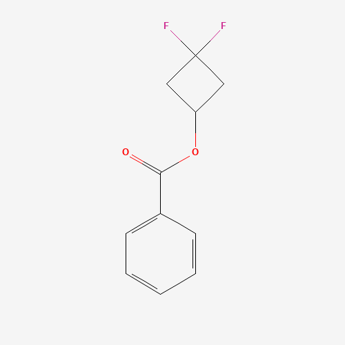 3,3-Difluorocyclobutyl benzoate (CAS: 1215071-19-4) - Related Chemical Product