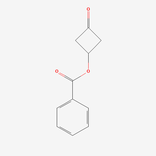 3-Oxocyclobutyl benzoate (CAS: 1081559-36-5) - Related Chemical Product