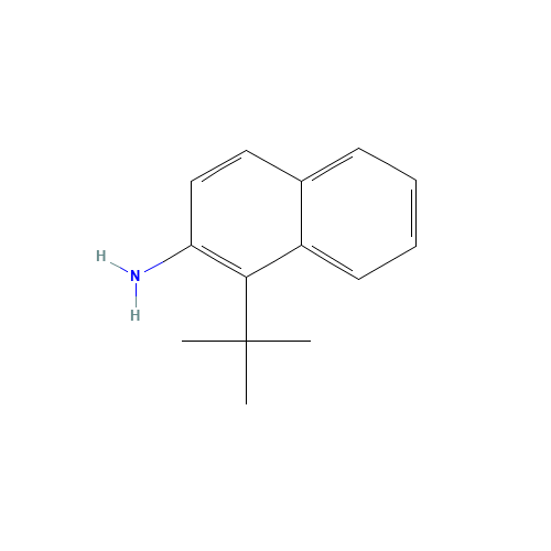 1-tert-Butylnaphthalen-2-amine (CAS: 389104-55-6) - Chemical Structure and Molecular Formula 
