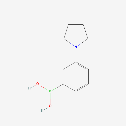 [3-(1-Pyrrolidinyl)phenyl]boronic acid (CAS: 659731-18-7) - Chemical Structure and Molecular Formula 