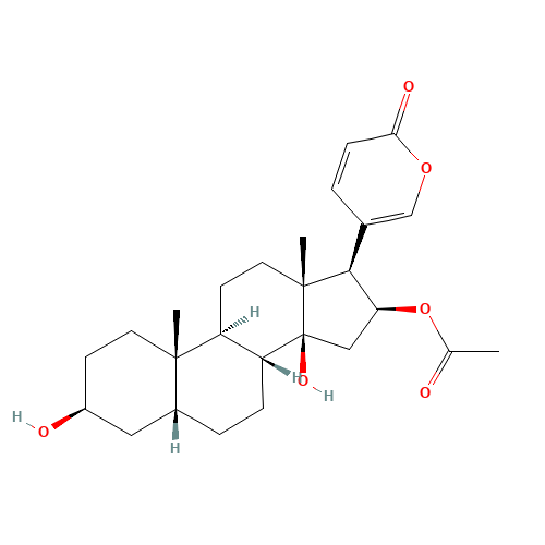 Bufotalin (CAS: 471-95-4) - Related Chemical Product
