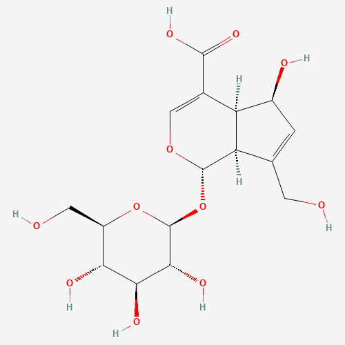 Desacetyl asperulosidic acid (CAS: 14259-55-3) - Related Chemical Product