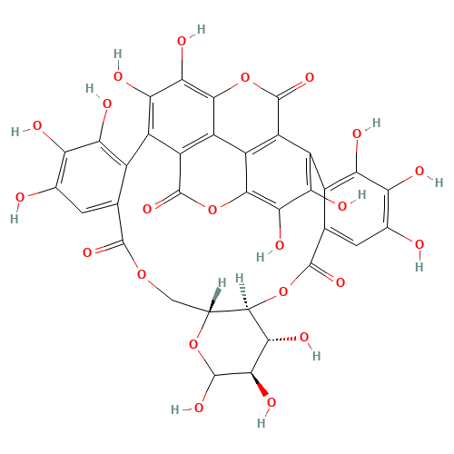 3,4,5,11,12,13,21,22,23,26,27,38,39-Tridecahydroxy-9,14,17,29,36-pentaoxaoctacyclo[29.8.0.02,7.010,15.019,24.025,34.028,33.032,37]nonatriaconta-1(39),2,4,6,19,21,23,25,27,31,33,37-dodecaen e-8,18,30,35-tetrone (CAS: 65995-64-4) - Related Chemical Product