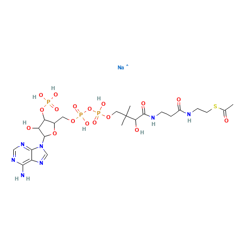 Acetyl coenzyme A sodium salt (CAS: 102029-73-2) - Related Chemical Product