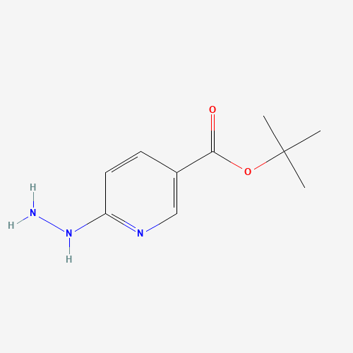 2-Methyl-2-propanyl 6-hydrazinonicotinate (CAS: 163213-19-2) - Chemical Structure and Molecular Formula 