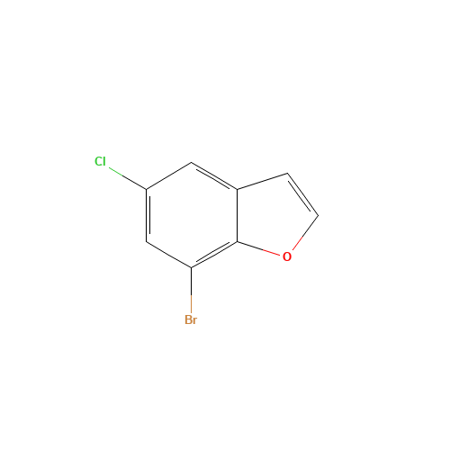 7-Bromo-5-chloro-1-benzofuran (CAS: 286836-07-5) - Related Chemical Product