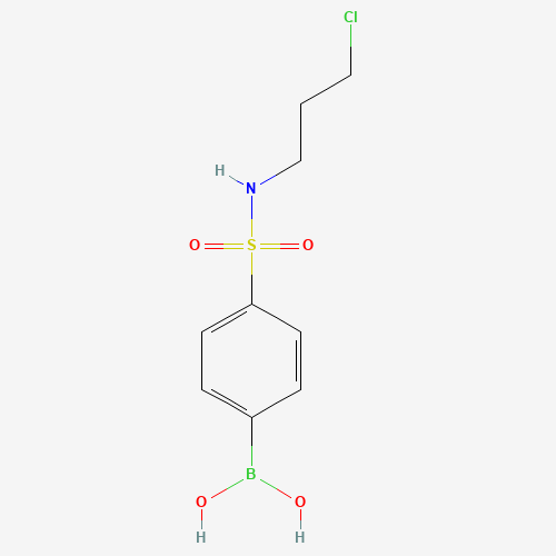 {4-[(3-Chloropropyl)sulfamoyl]phenyl}boronic acid (CAS: 874219-48-4) - Chemical Structure and Molecular Formula 