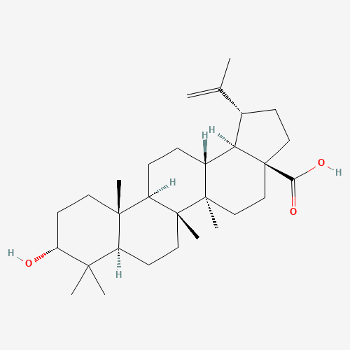 3-epi-betulinic acid (CAS: 38736-77-5) - Chemical Structure and Molecular Formula 