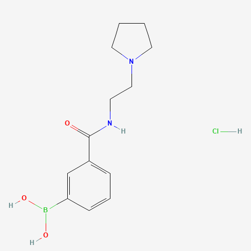 (3-{[2-(1-Pyrrolidinyl)ethyl]carbamoyl}phenyl)boronic acid hydrochloride (1:1) (CAS: 957061-03-9) - Related Chemical Product