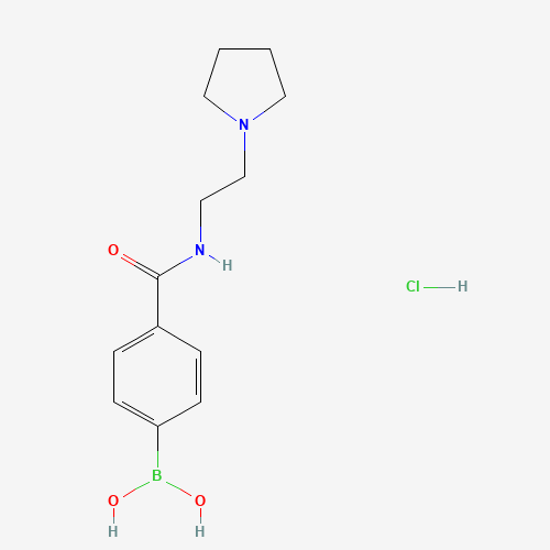 (4-{[2-(1-Pyrrolidinyl)ethyl]carbamoyl}phenyl)boronic acid hydrochloride (1:1) (CAS: 957060-70-7) - Chemical Structure and Molecular Formula 