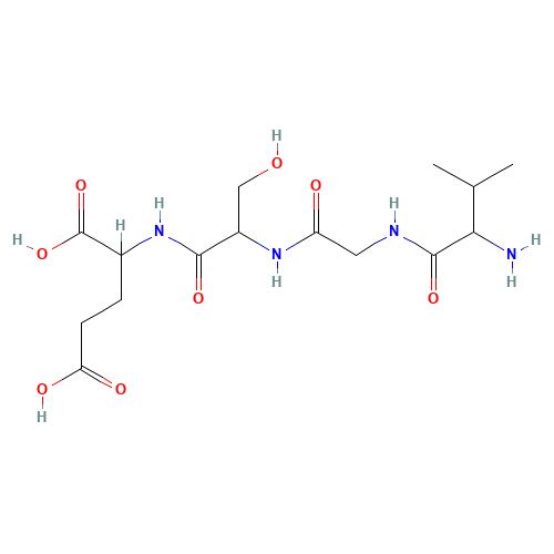 VAL-GLY-SER-GLU (CAS: 61756-22-7) - Related Chemical Product