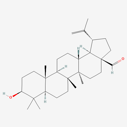 (3b)-3-Hydroxylup-20(29)-en-28-al (CAS: 13159-28-9) - Related Chemical Product