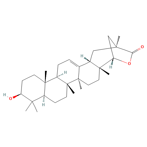 (3b,22a)-3-Hydroxy-22,29-epoxyolean-12-en-29-one (CAS: 84104-71-2) - Related Chemical Product
