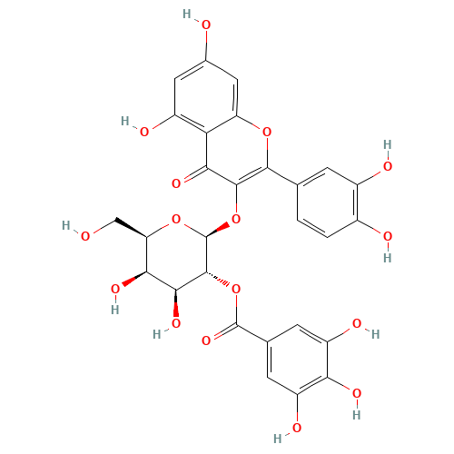 2-(3,4-Dihydroxyphenyl)-5,7-dihydroxy-4-oxo-4H-chromen-3-yl 2-O-(3,4,5-trihydroxybenzoyl)-b-D-galactopyranoside (CAS: 53209-27-1) - Related Chemical Product