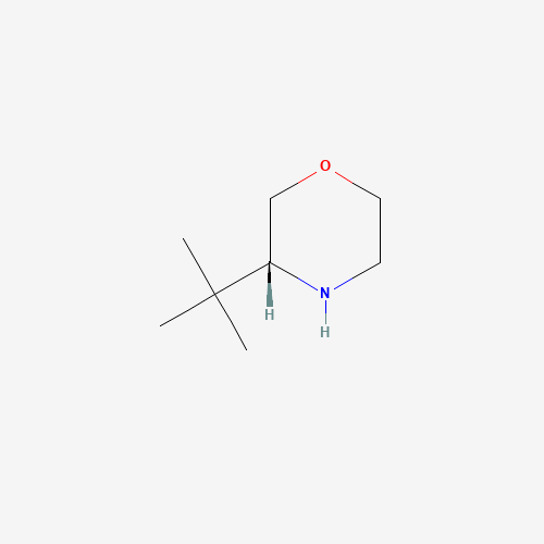 (R)-3-(tert-butyl)morpholine (CAS: 1286768-66-8) - Related Chemical Product