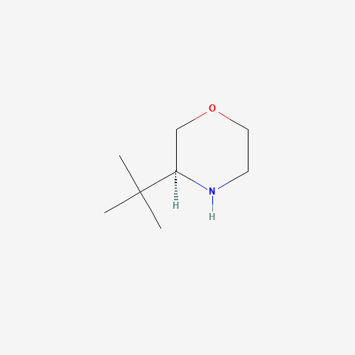 (S)-3-(tert-butyl)morpholine (CAS: 1007112-64-2) - Related Chemical Product