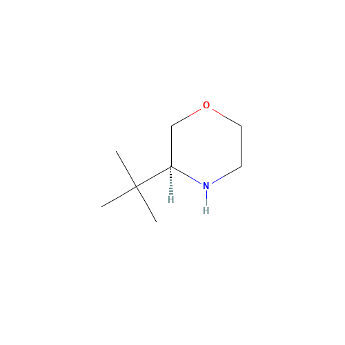 (S)-3-(tert-butyl)morpholine (CAS: 1007112-64-2) - Related Chemical Product
