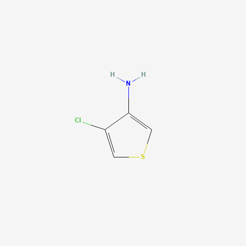 4-CHLORO-3-THIOPHENAMINE (CAS: 632356-42-4) - Related Chemical Product