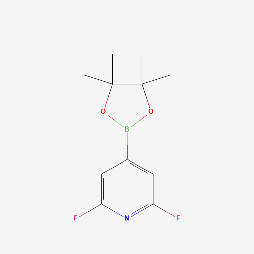 2,6-Difluoro-4-(4,4,5,5-tetramethyl-1,3,2-dioxaborolan-2-yl)pyridine chemical structure 2,6-Difluoro-4-(4,4,5,5-tetramethyl-1,3,2-dioxaborolan-2-yl)pyridine (CAS: 1204333-58-3) - Chemical Structure and Molecular Formula