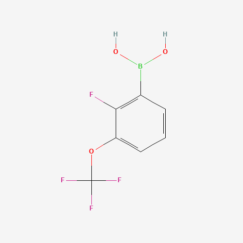 [2-Fluoro-3-(trifluoromethoxy)phenyl]boronic acid (CAS: 881402-25-1) - Related Chemical Product