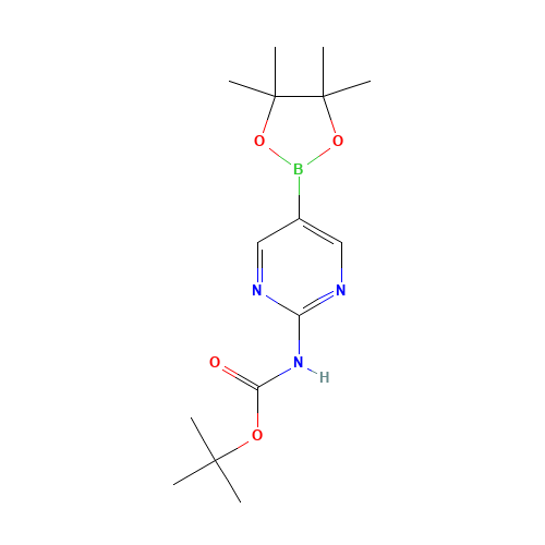 tert-Butyl [5-(4,4,5,5-tetramethyl-1,3,2-dioxaborolan-2-yl)pyrimidin-2-yl]carbamate (CAS: 1032758-88-5) - Chemical Structure and Molecular Formula 