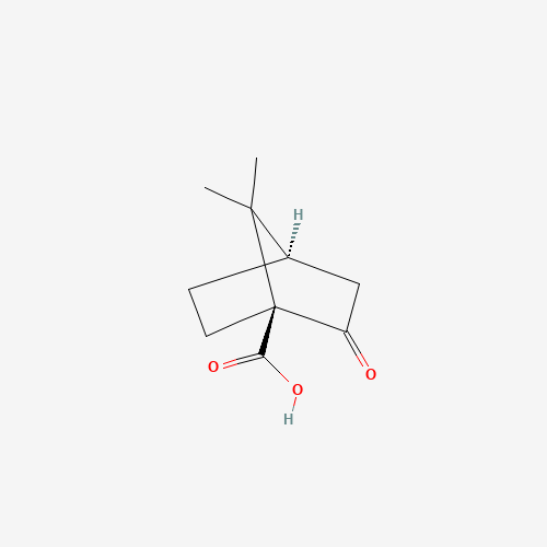 (1S)-7,7-Dimethyl-2-oxobicyclo[2.2.1]heptane-1-carboxylic acid (CAS: 40724-67-2) - Related Chemical Product