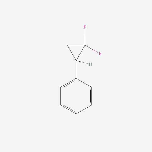 (2,2-Difluorocyclopropyl)benzene (CAS: 13343-40-3) - Chemical Structure and Molecular Formula 