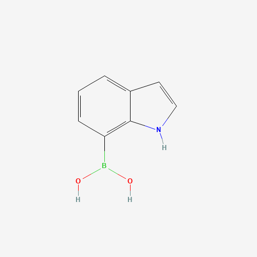 1H-indol-7-ylboronic acid (CAS: 210889-31-9) - Related Chemical Product