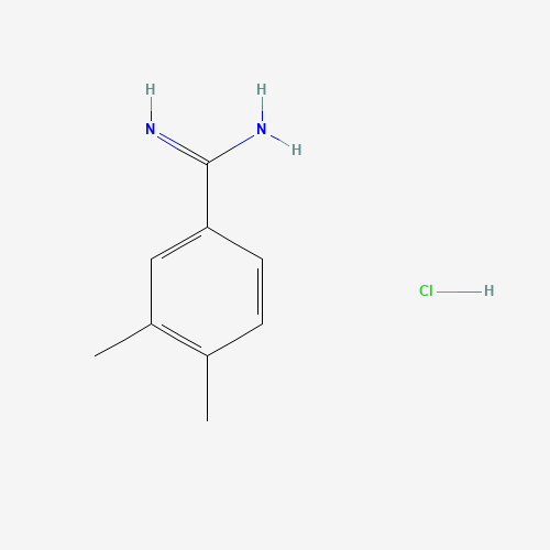 3,4-Dimethylbenzenecarboximidamide hydrochloride (CAS: 112072-09-0) - Related Chemical Product