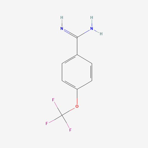 4-Trifluoromethoxy-benzamidine (CAS: 313240-72-1) - Related Chemical Product