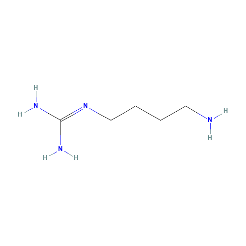 agmatine (CAS: 306-60-5) - Related Chemical Product