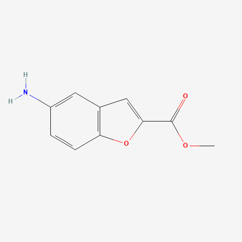 Methyl 5-amino-1-benzofuran-2-carboxylate (CAS: 1646-29-3) - Related Chemical Product