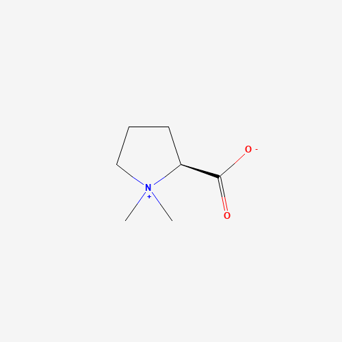 methyl hygrate bine (CAS: 471-87-4) - Chemical Structure and Molecular Formula 