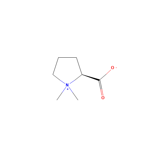 methyl hygrate bine (CAS: 471-87-4) - Related Chemical Product