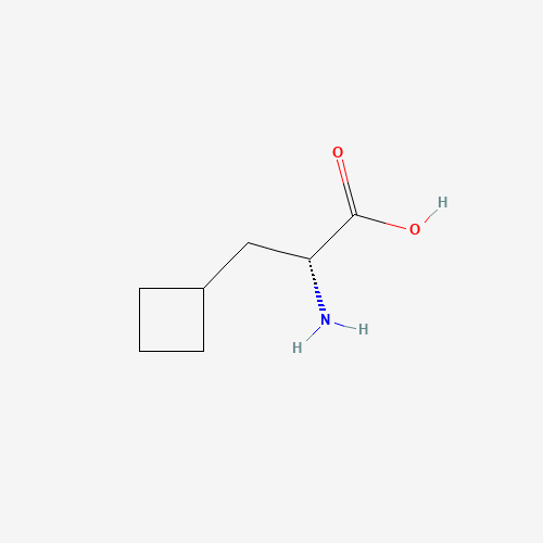 3-Cyclobutyl-D-alanine (CAS: 174266-00-3) - Related Chemical Product