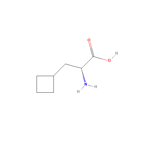 3-Cyclobutyl-D-alanine (CAS: 174266-00-3) - Related Chemical Product