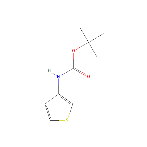 tert-Butyl 3-thienylcarbamate (CAS: 19228-91-2) - Related Chemical Product