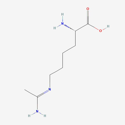 N-(5-AMINO-5-CARBOXYPENTYL)-ACETAMIDINE (CAS: 53774-63-3) - Related Chemical Product