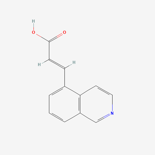 Trans-3-(isoquinolin-5-yl)acrylic acid (CAS: 87087-21-6) - Related Chemical Product