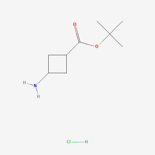 cis-tert-butyl 3-aMinocyclobutanecarboxylate hydrochloride (CAS: 1192549-09-9) - Chemical Structure and Molecular Formula 