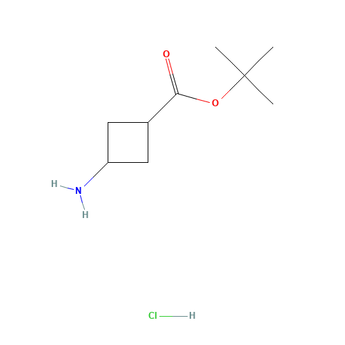 cis-tert-butyl 3-aMinocyclobutanecarboxylate hydrochloride (CAS: 1192549-09-9) - Chemical Structure and Molecular Formula 