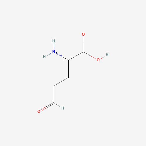 2-amino-5-oxo-pentanoic acid (CAS: 496-92-4) - Related Chemical Product