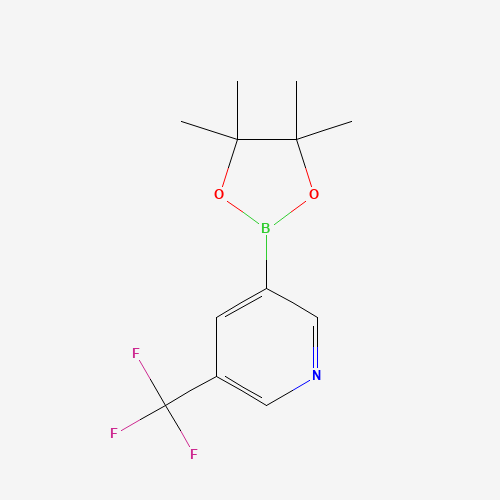 5-Trifluoromethylpyridine-3-boronic acid pinacol ester (CAS: 1084953-47-8) - Related Chemical Product