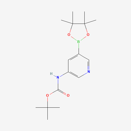 [5-(4,4,5,5-Tetramethyl-[1,3,2]dioxaborolan-2-yl)- pyridin-3-yl]-carbamic acid tert-butyl ester (CAS: 1171897-39-4) - Related Chemical Product