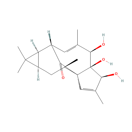 20-DEOXYINGENOL (CAS: 54706-99-9) - Related Chemical Product