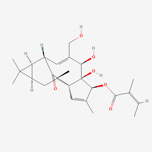 Ingenol-3-angelate (CAS: 75567-37-2) - Related Chemical Product